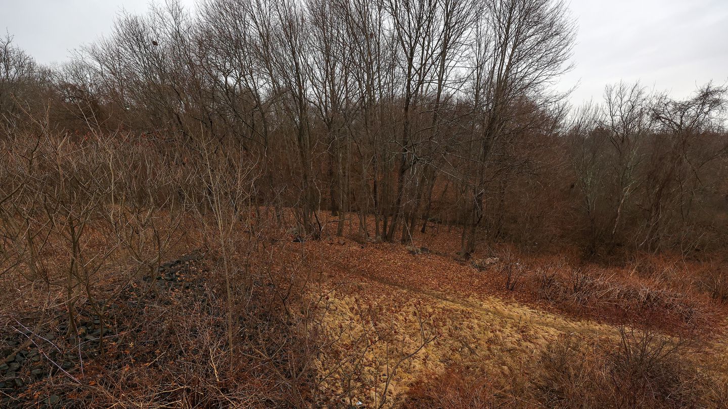In April, Peabody officials signed off on a plan to acquire 80 acres of woods near the Salem border, paid for partially by a Community Preservation Act grant program.