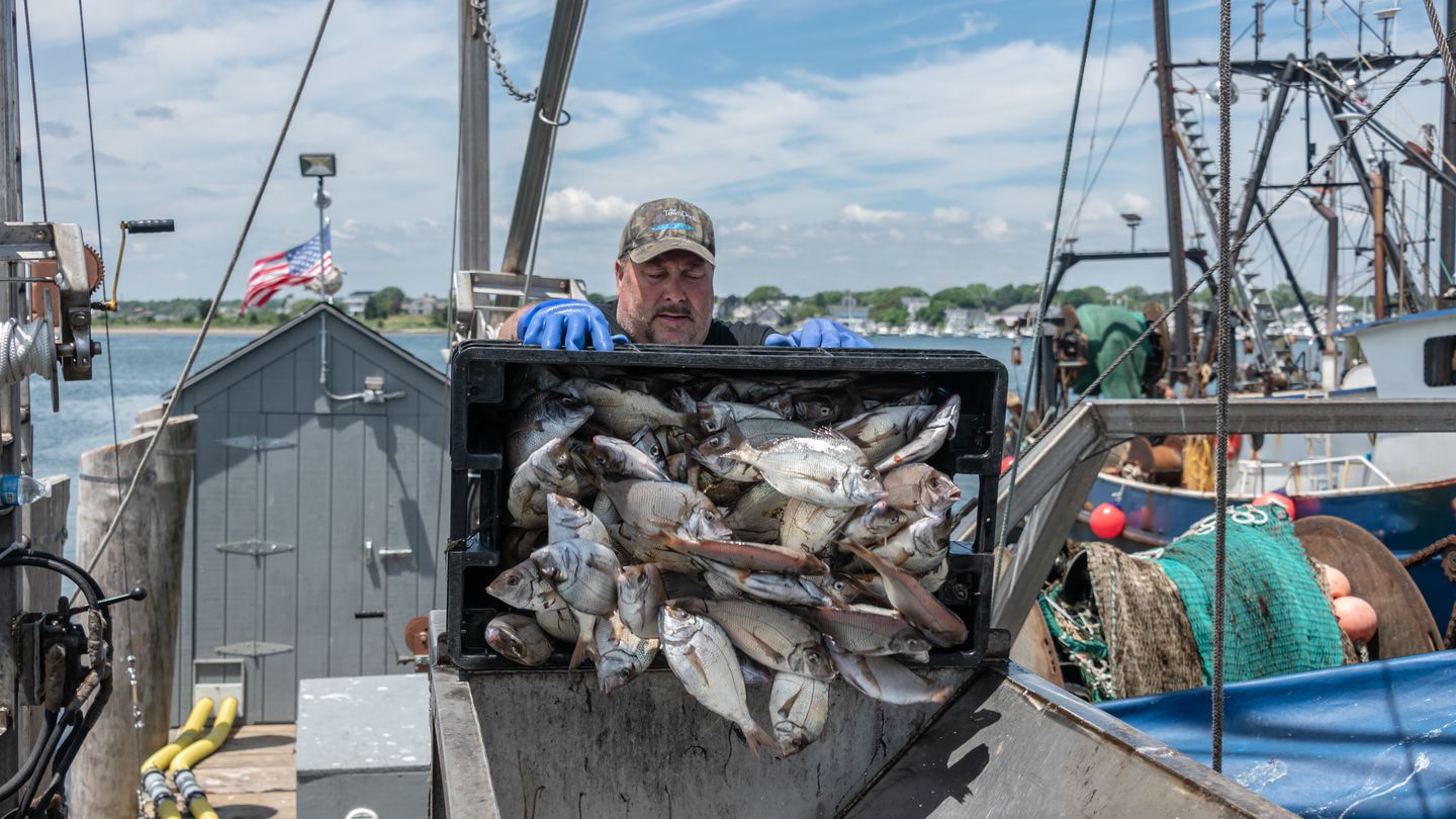 Fresh scup is one of many types of fish consumers aren't as familiar with, and some Rhode Island organizations have set out to change that.