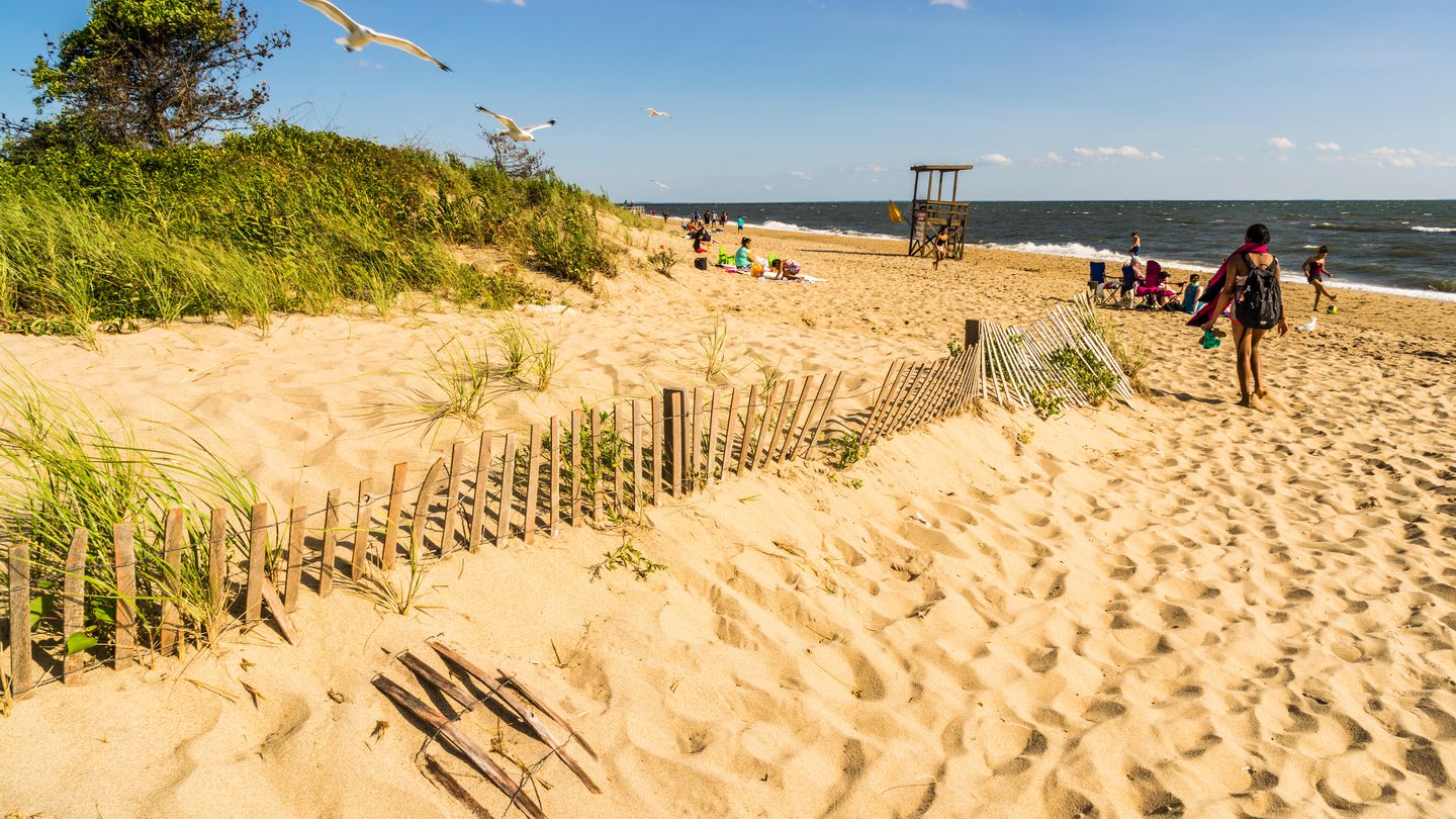 A small sand dune with beach grass is separated from the sandy beach by an old wooden fence. The water is in the background. And there are a handful of people visible on the beach.