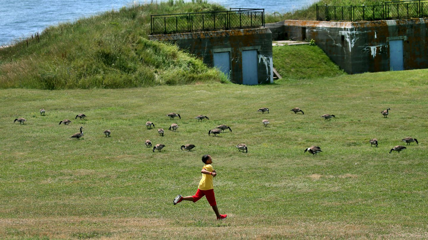 Georges Island is a popular summer hangout for children, geese, and Globies.